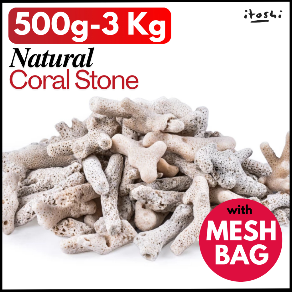 ITOSHI 1KG 2KG 3KG Coral Stone Bio Filter Media Aquarium Coral Bone ...