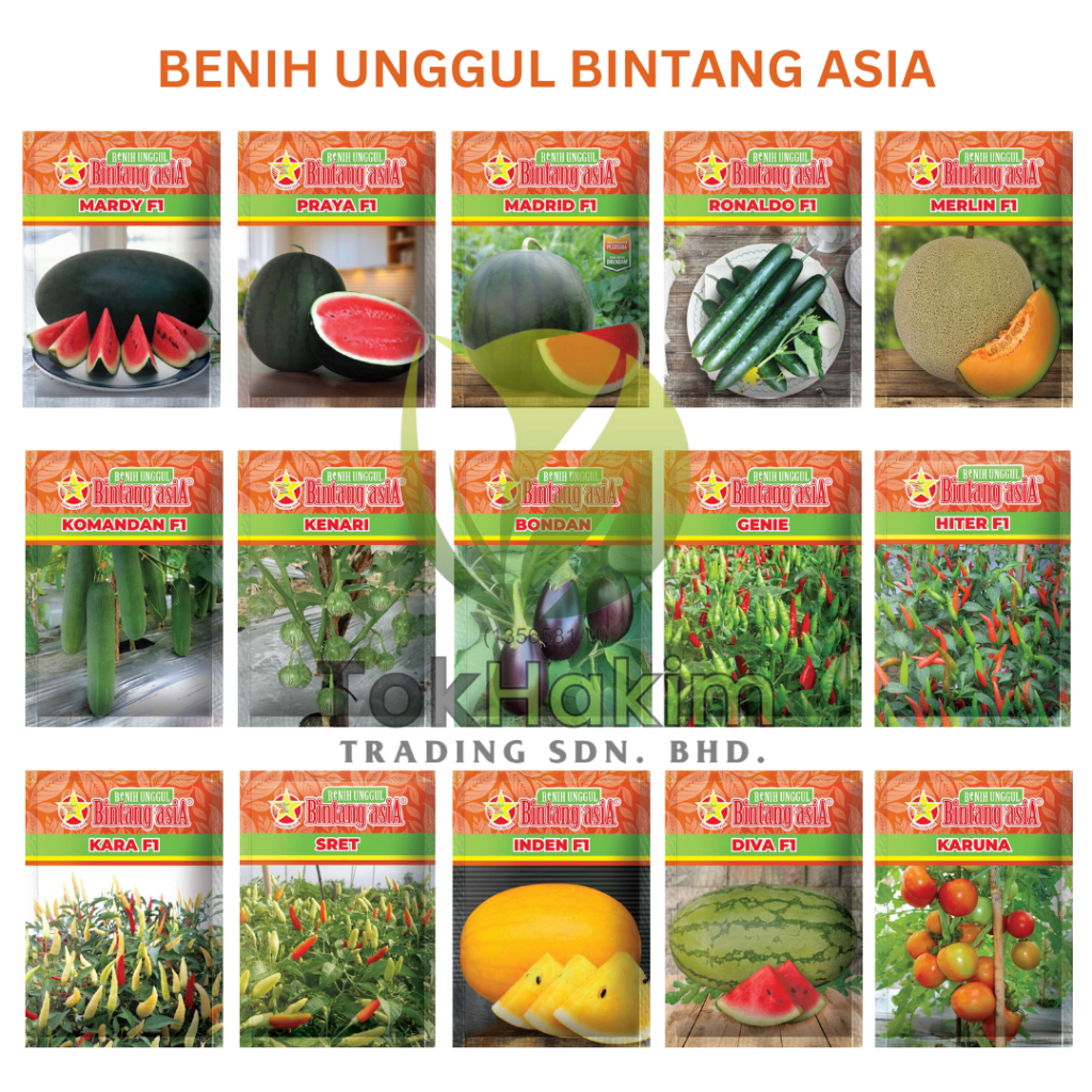 Benih Unggul Bermutu Tinggi Bintang Asia Original Benih Citra Asia ...