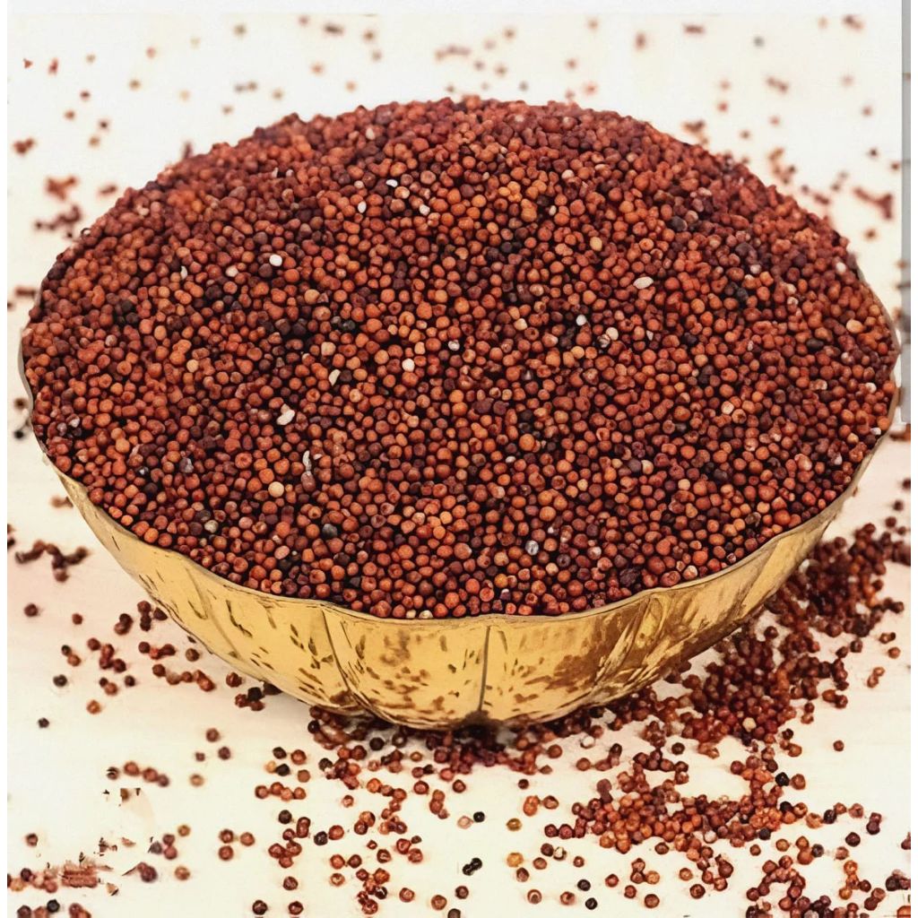RAGI SEEDS / KELVARAGU 1KG | Shopee Malaysia