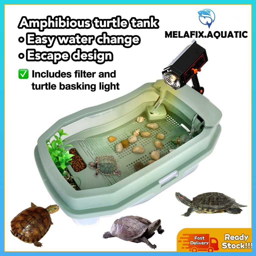 Reptile Turtle Tank Medium/Large | Tortoise Vivarium Box with Light ...