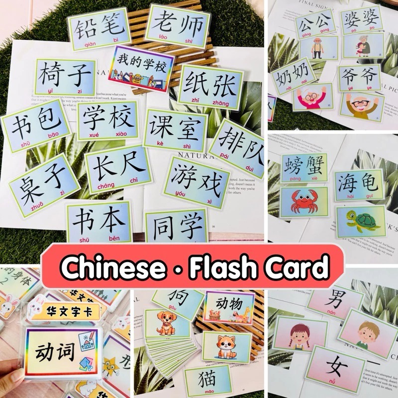 119【Chinese Flash Card·华文识字字卡】Chinese｜华文识字 | Shopee Malaysia