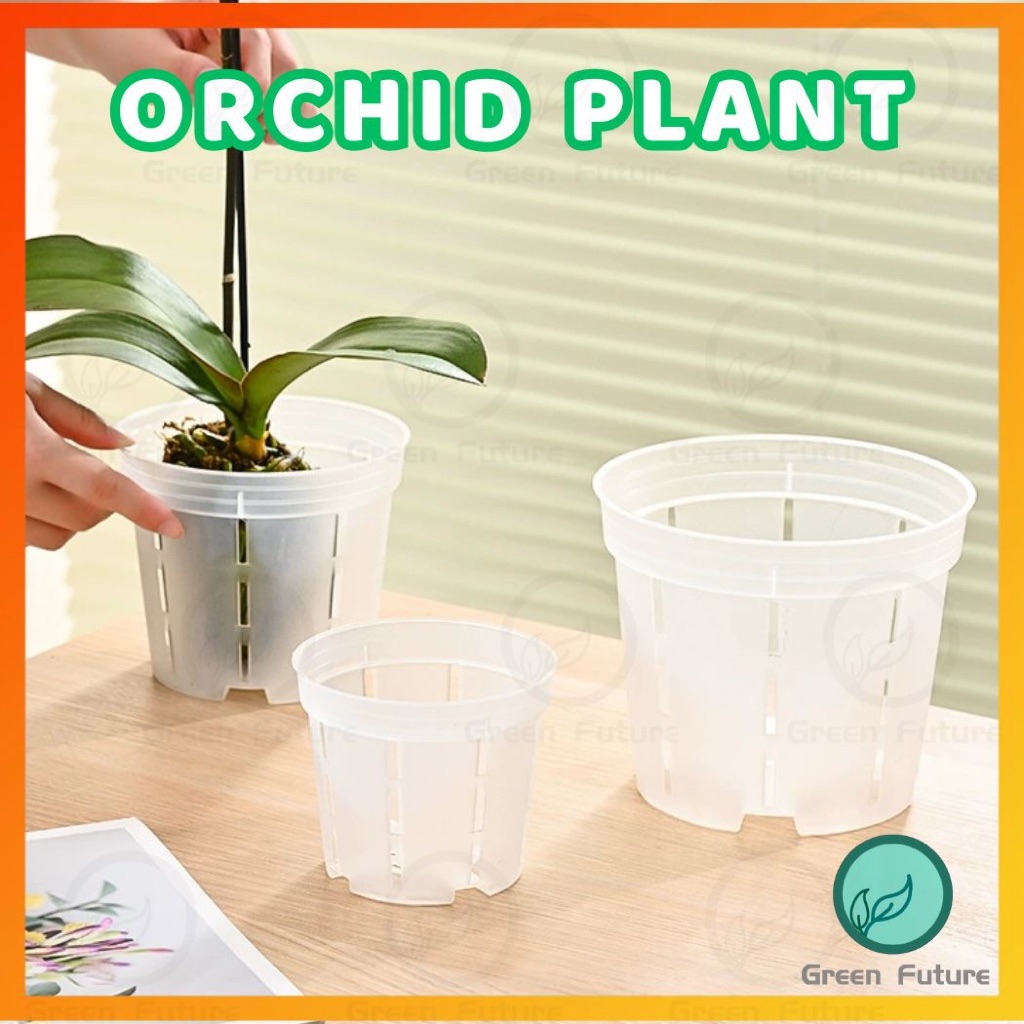 Transparent Orchid Pot 控根盆 兰花专用盆 Resin Pot Root Control Phalaenopsis ...