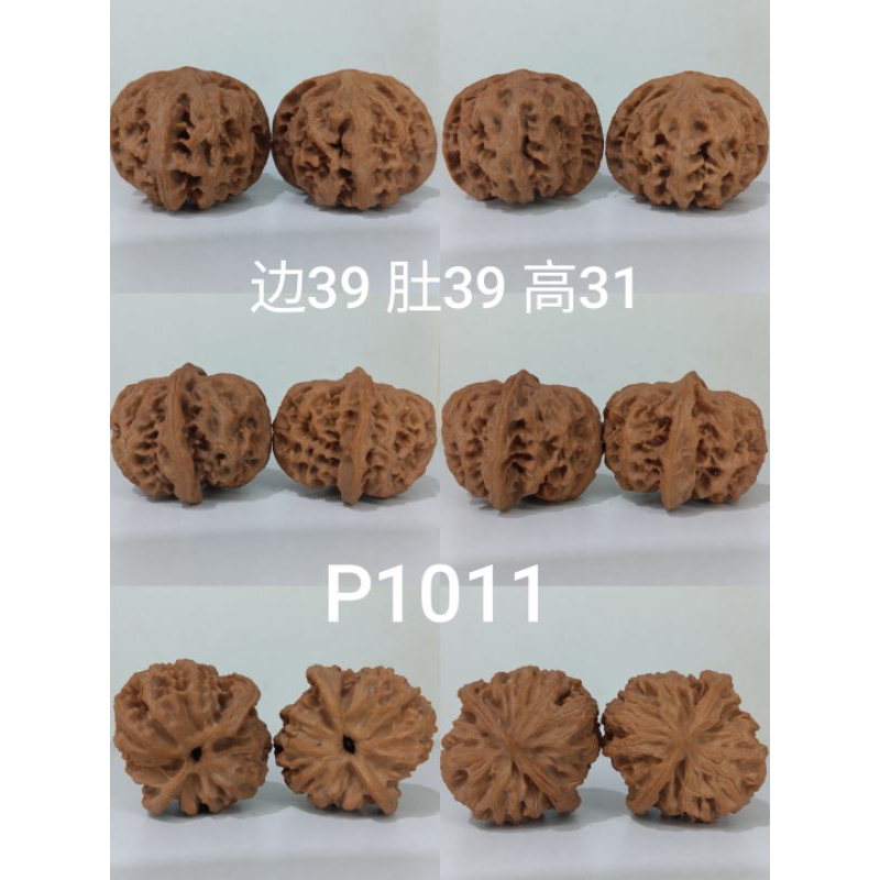 新入荷❤️No.634❤️文玩くるみ（文玩核桃） 精配球形苹果园 苹果园大众款文玩核桃Walnuts | Shopee Malaysia