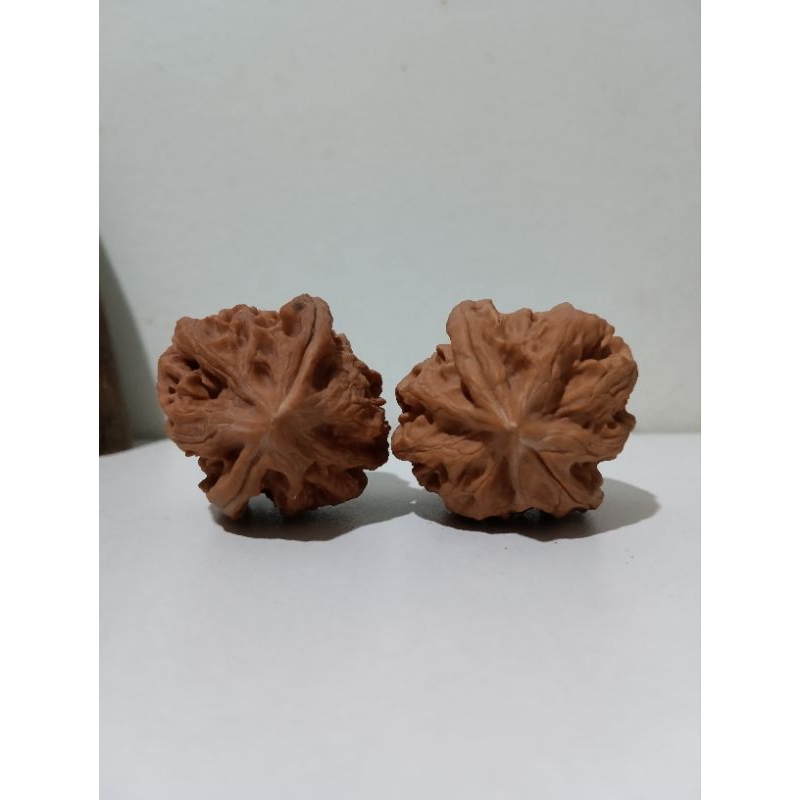 曹大龙高端文玩核桃Walnuts CD02 | Shopee Malaysia