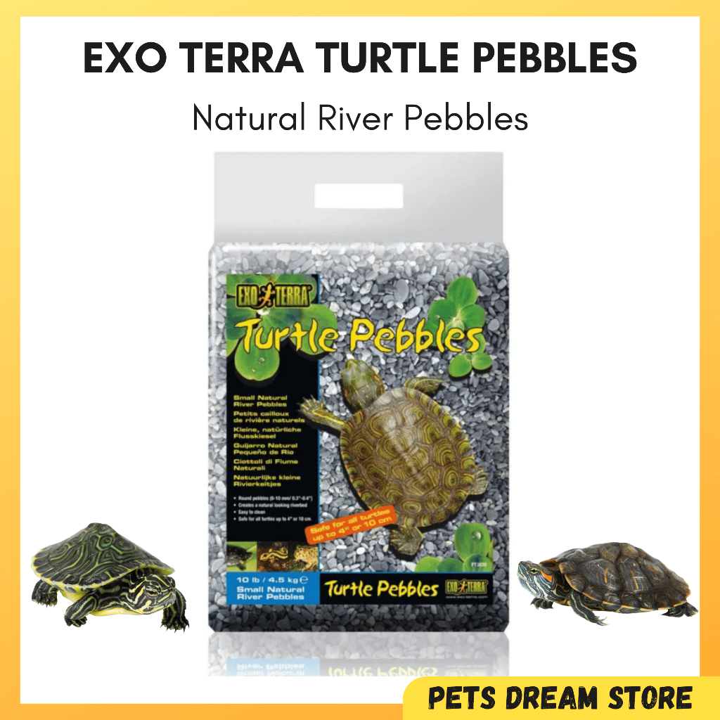 TURTLE PEBBLES NATURAL RIVER gravel Exo Terra Reptile Turtle rock stone ...