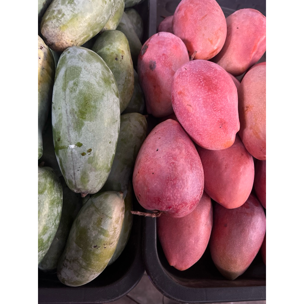 mangga 3 rasa / mangga aiwen fresh sedap | Shopee Malaysia