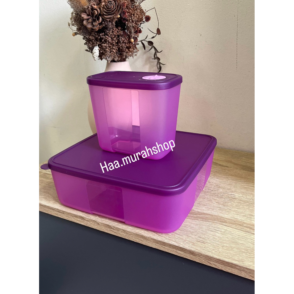 Bekas Makanan Freezer Mate with Dial Tupperware | Shopee Malaysia