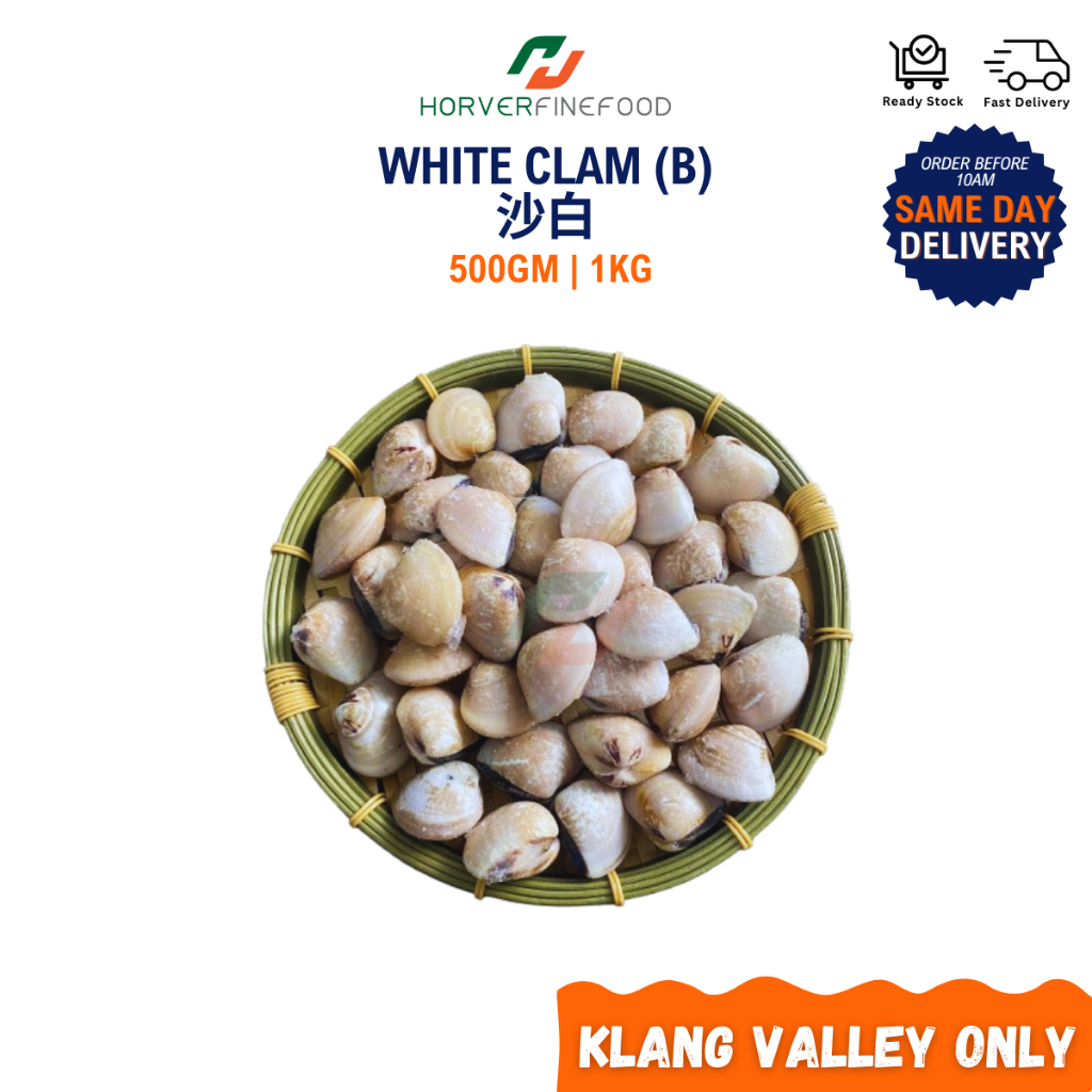 [Frozen] White Clam (B) 沙白【KLANG VALLEY ONLY】 | Shopee Malaysia