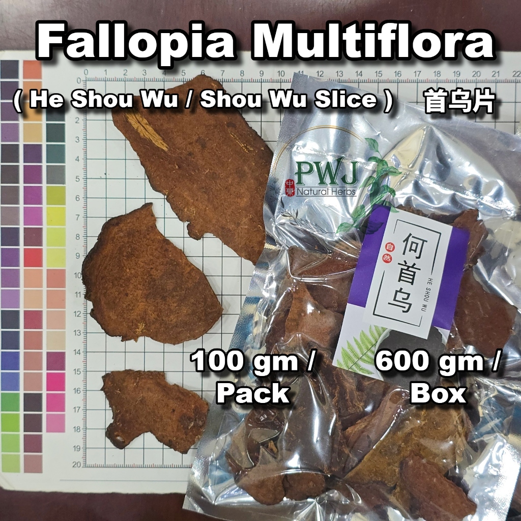 Fallopia Multiflora (He Shou Wu) 何首乌 / 首乌片 (100gm & 600gm) | Shopee ...