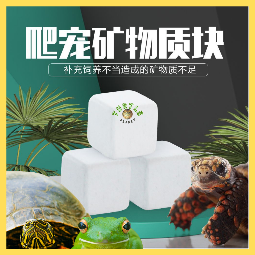 Reptile Calcium Block Natural Calcium Mineral for Turtle Tortoise ...
