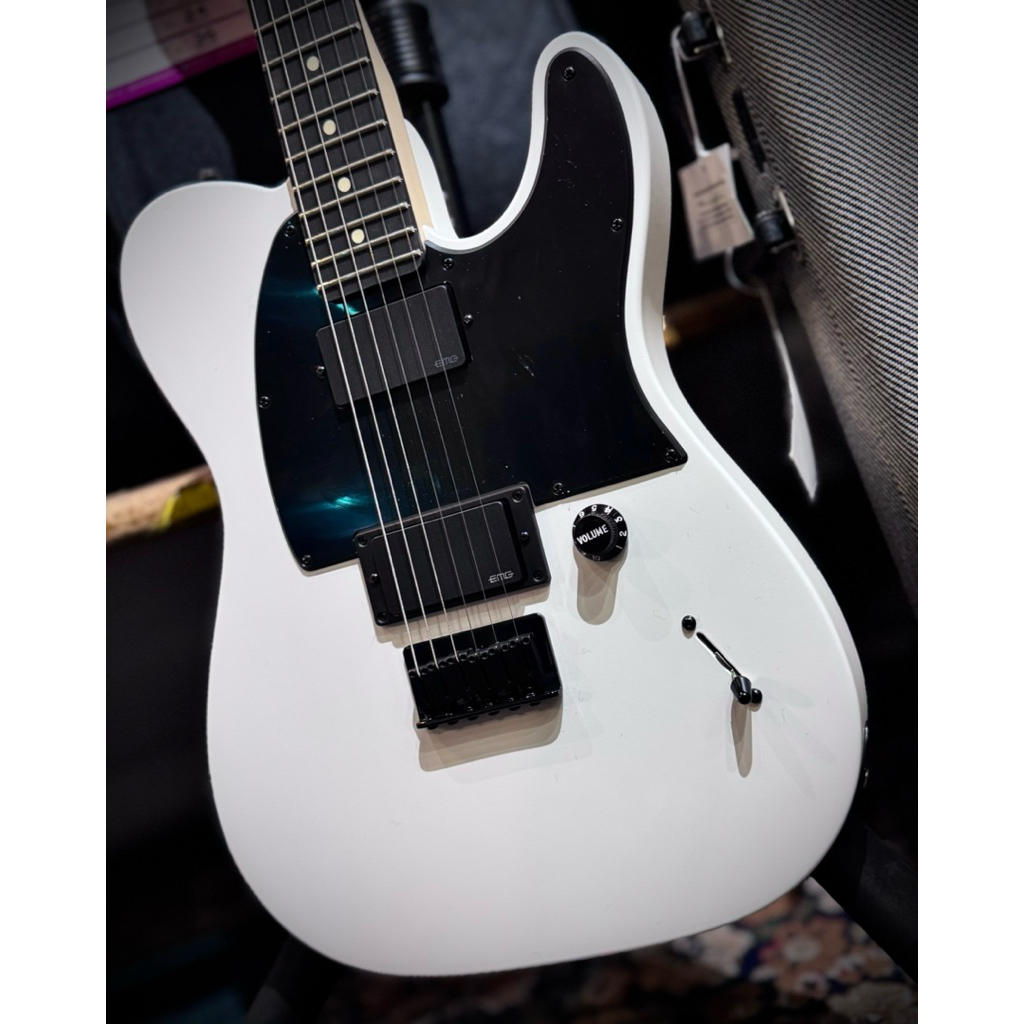 Display Unit Fender Artist Jim Root Telecaster Guitar, Ebony Neck, Flat ...