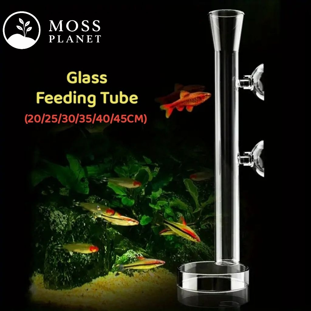 🔥Shrimp/fish aquarium feeding tube 水晶虾喂食管🔥 Aquarium/ Aquascape/ Shrimp ...