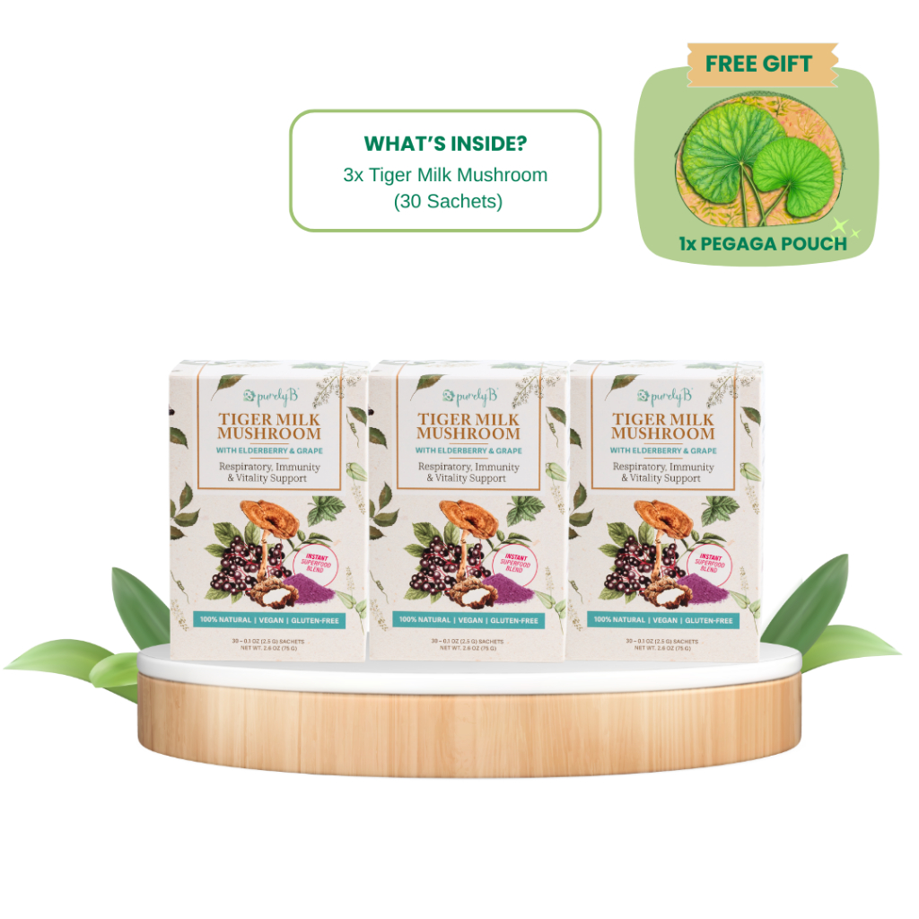 [ FREE POUCH] PurelyB Tiger Milk Mushroom Powder Drink 30sachets X 3 ...