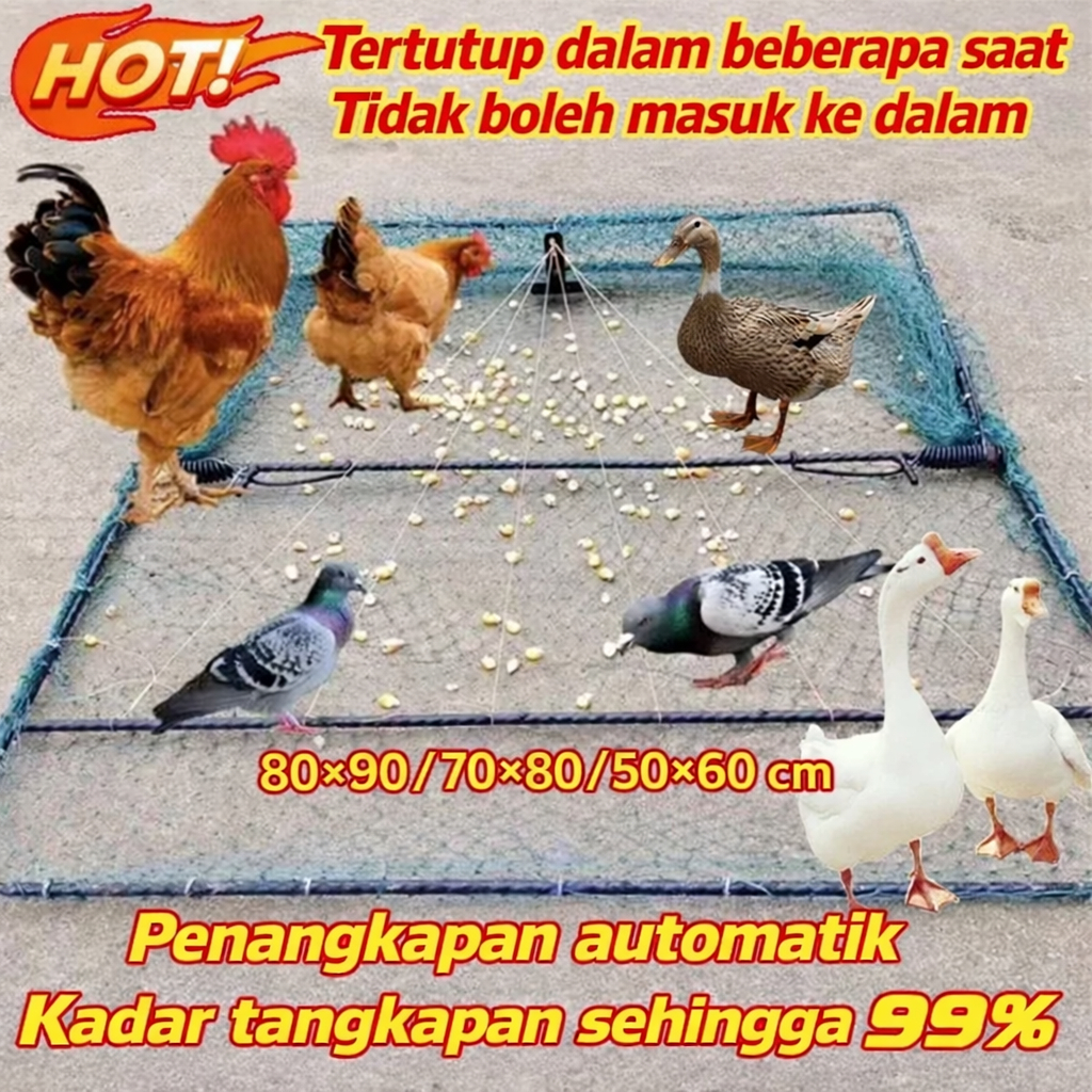 *COD* Bird Trap automatik 99% pelbagai saiz perangkap burung perangkap ...