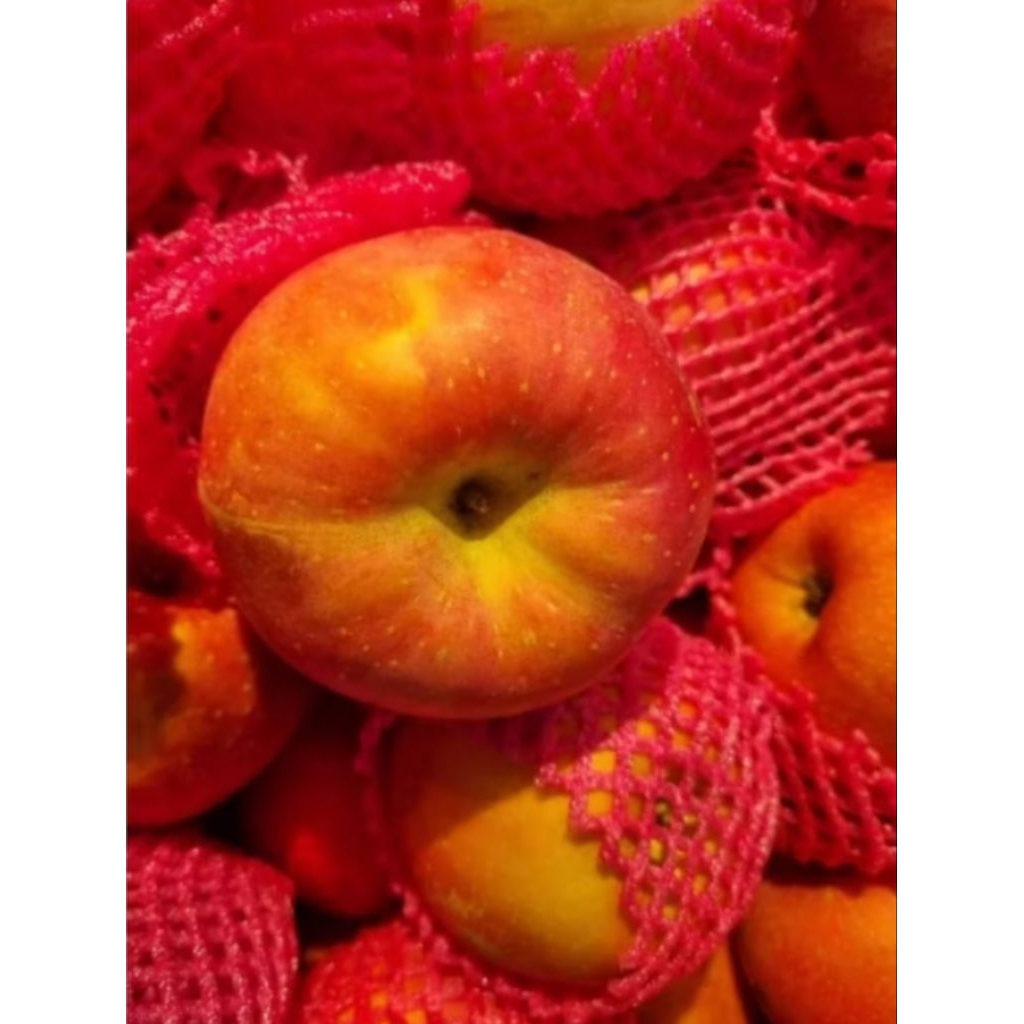 Epal Fuji Segar Saiz AAA / Fresh Fuji Apple Size AAA | Shopee Malaysia