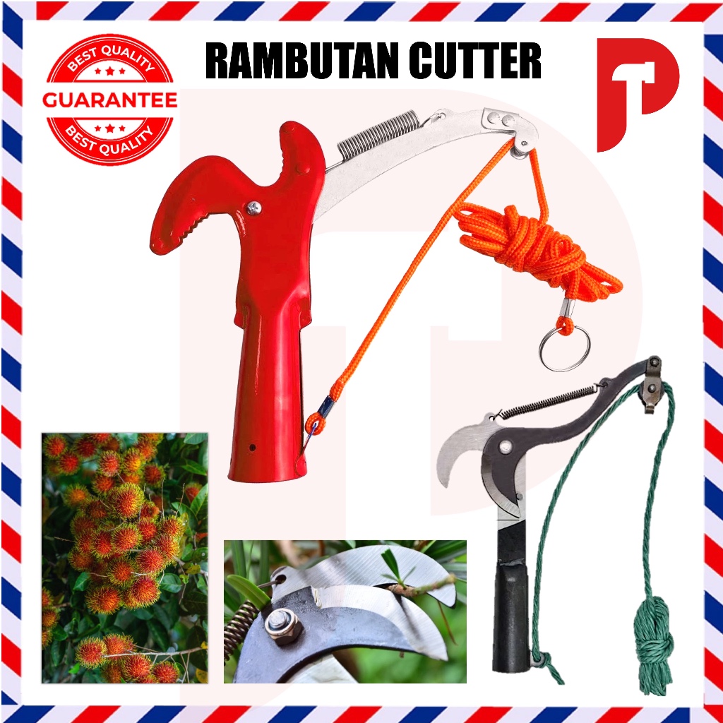 Rambutan Cutter Tree Pruner Trimmer Shear Rambutan Shear Gunting kait ...