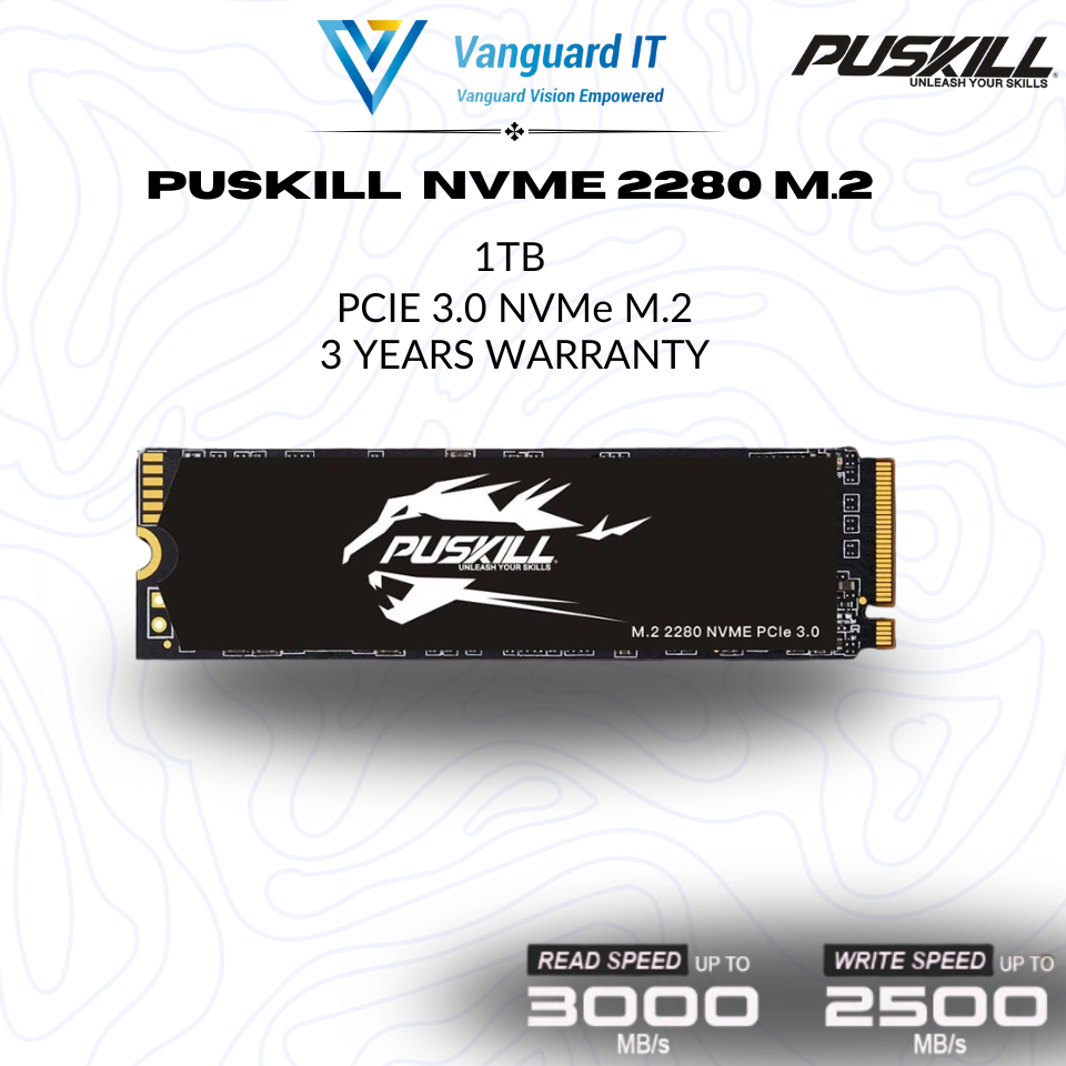 [PUSKILL M.2 NVME SSD 2280] 1TB INTERNAL SOLID STATE DRIVE FOR PC AND ...
