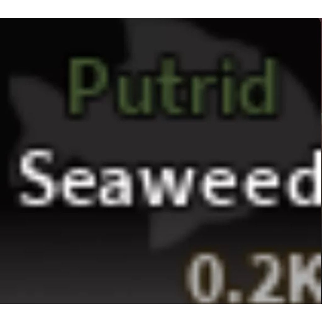 Putrid Seaweed ×1 | Dead Man's Rod Material - Fisch | Shopee Malaysia