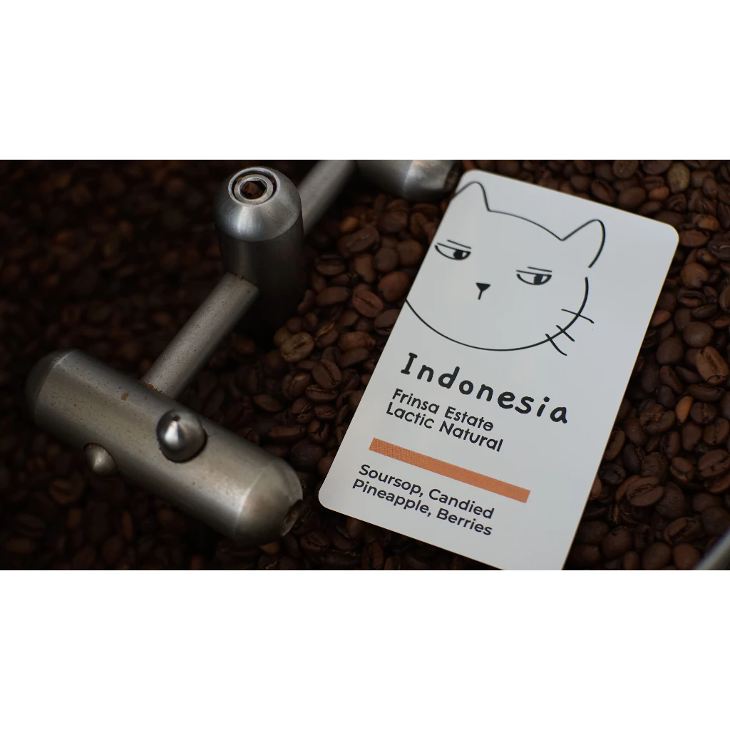 Overdose Kitten Indonesia Frinsa Estate Lactic Natural – specialty coffee beans Malaysia