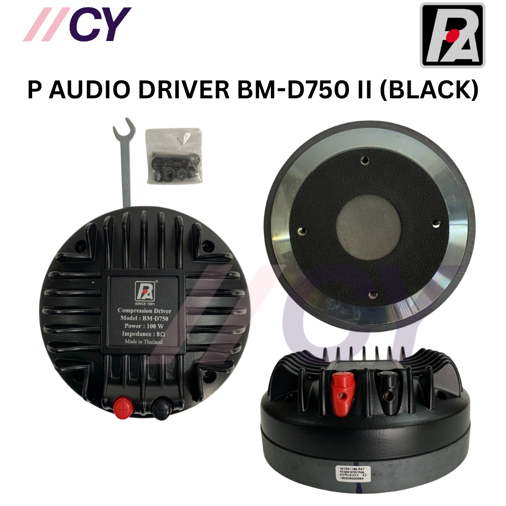 P AUDIO DRIVER BM-D750 II (BLACK) | Shopee Malaysia
