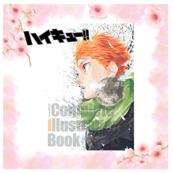 Haikyu!! Complete Illustration Book Japan NEW [Direct from Japan ...