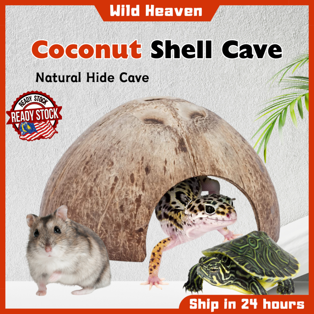 Reptile Hides Cave Coconut Shell Turtle House Reptile Habitat Shelter ...