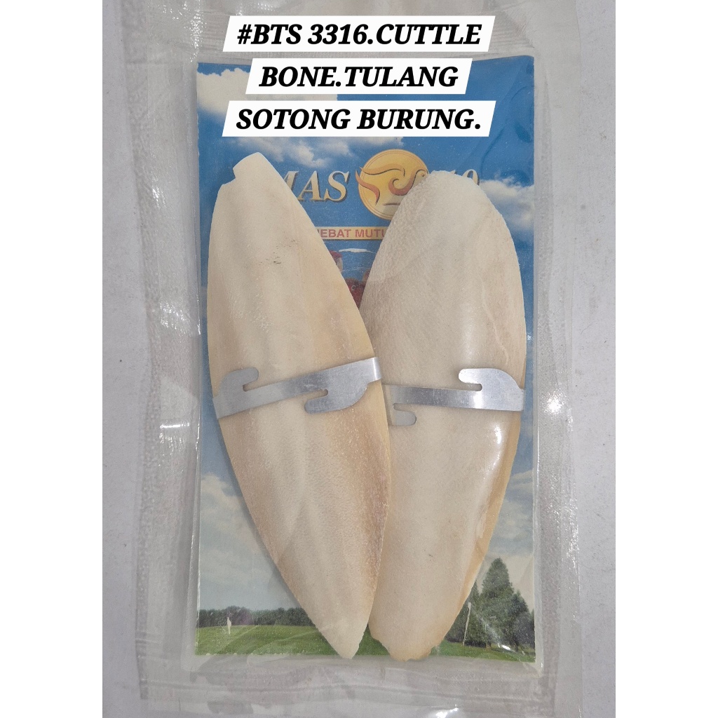 Emas10 Cuttlefish Bone Packaged Bird Turtle Tortoise CuttleBone Tulang ...