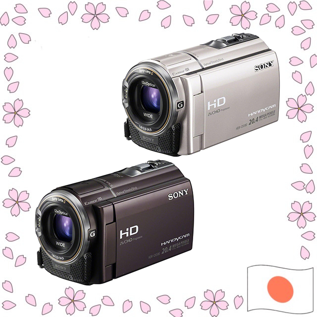 SONY Handycam HDR-CX590V Full HD Digital Camcorder – Champagne