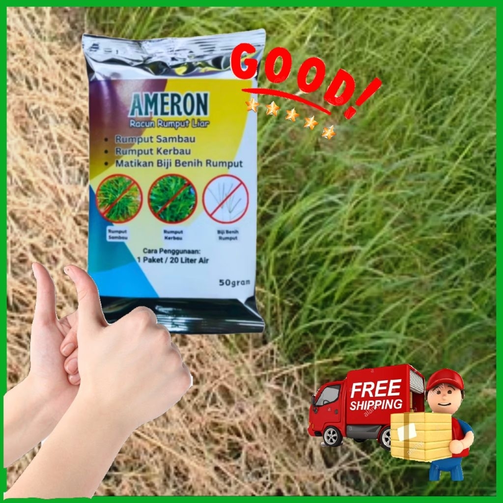 Ameron Ametryn Racun Rumput Sambau Paling Berkesan Power Racun Rumput ...