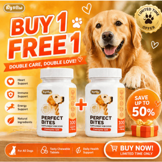 BIG PAW Perfect Bites Dog Supplement - Daily Heart & Energy Support ...