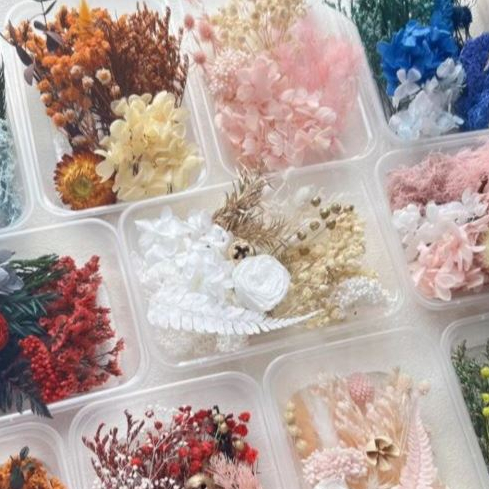 Ever Lasting Flower for DIY Photo Frame Craft Resin Dried Flower 永生花干花 ...