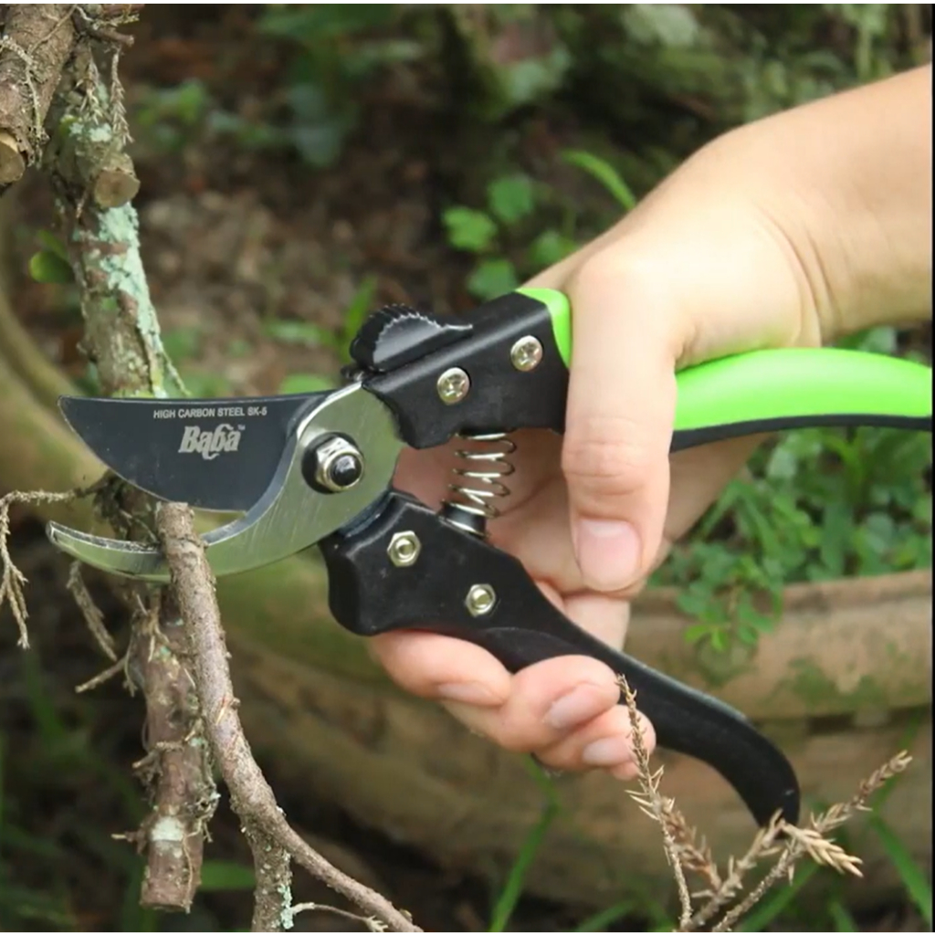 Baba GP-1008 (3) Premium Bypass Pruner - For Plant Pruning and Cutting ...