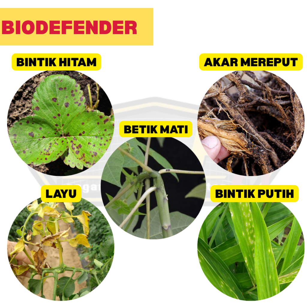 Biodefender 1kg |KenMicrobes Penyakit Pokok Racun Kulat Organik Pokok ...