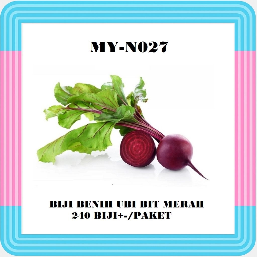 Biji Benih Ubi Bit Merah (Paket Besar) / Beetroot Seeds (Large Pack ...