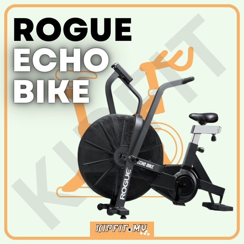 Rogue Echo Bike – Air Bike Commercial & Home Cardio & Fitness Machine ...