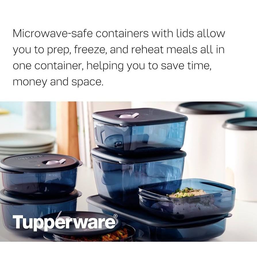 i'0221 Tupperware Heat n Serve/ Rock N Serve From Freezer to Microwave ...