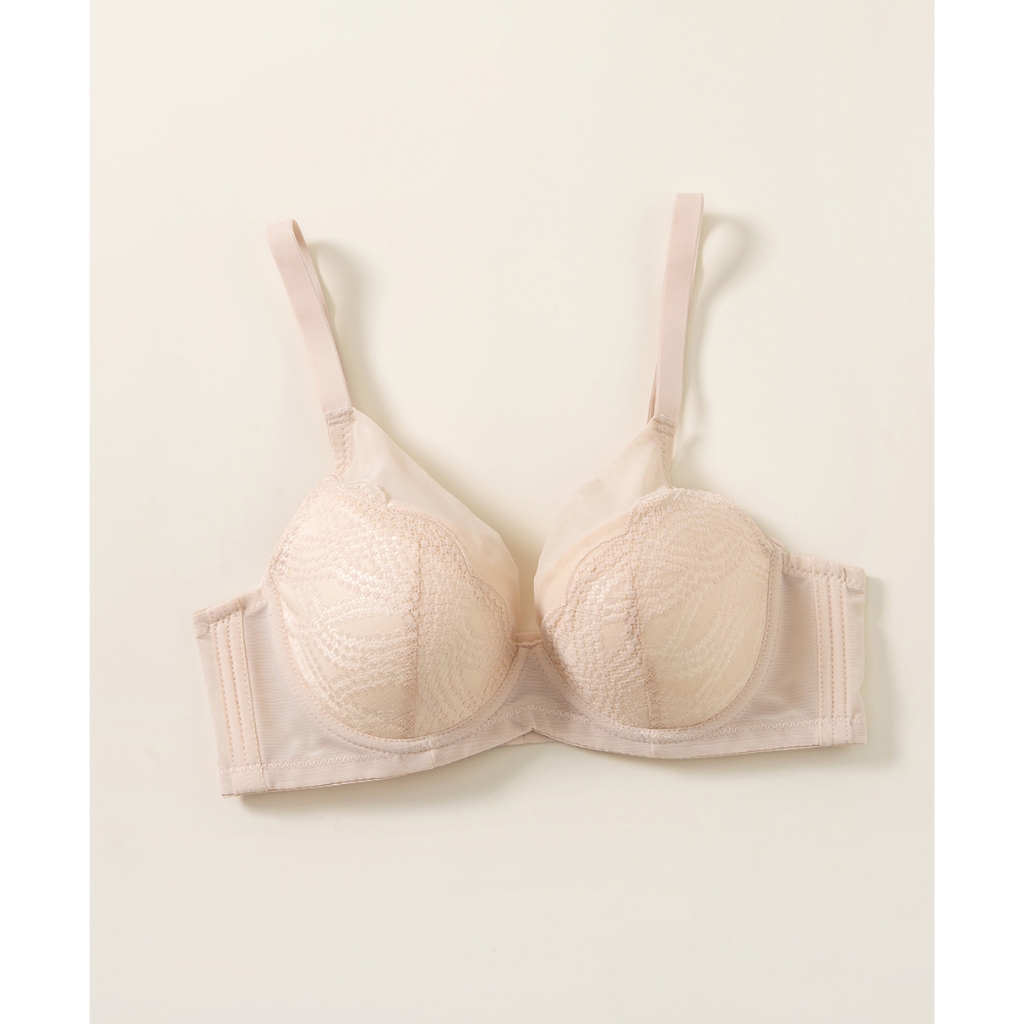 Felancy Wired Classic / Lace Bra (70B/ 70C) | Shopee Malaysia
