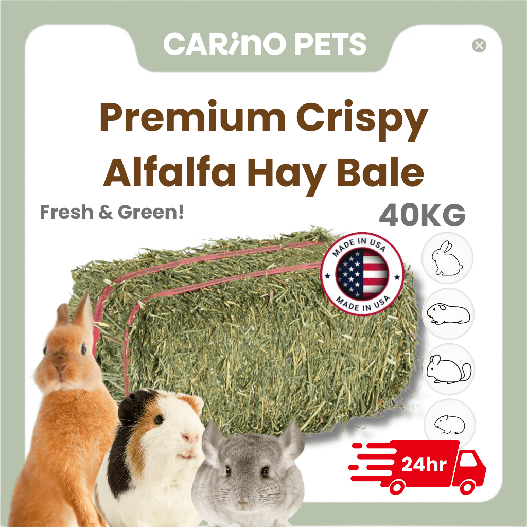 Thumbnail for 24Hr Ship Premium Alfalfa Hay Bale 40Kg Imported Timothy Hay Lucerne