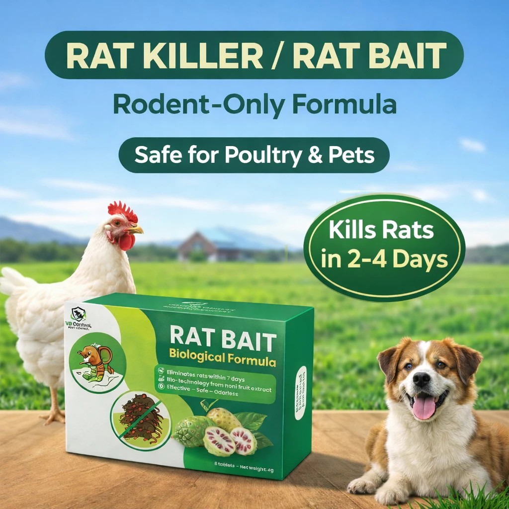 Rat Bait Biological Effective Plant-Based Safe Rodent Repellent ...