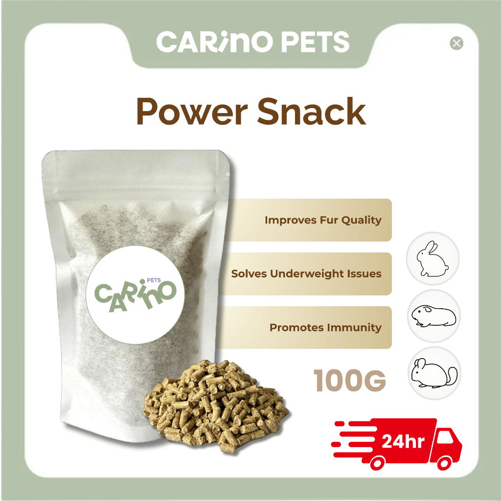 [24HR SHIP] CARINO PETS POWER SNACK 100G Rabbits Skin & Coat Supplement ...