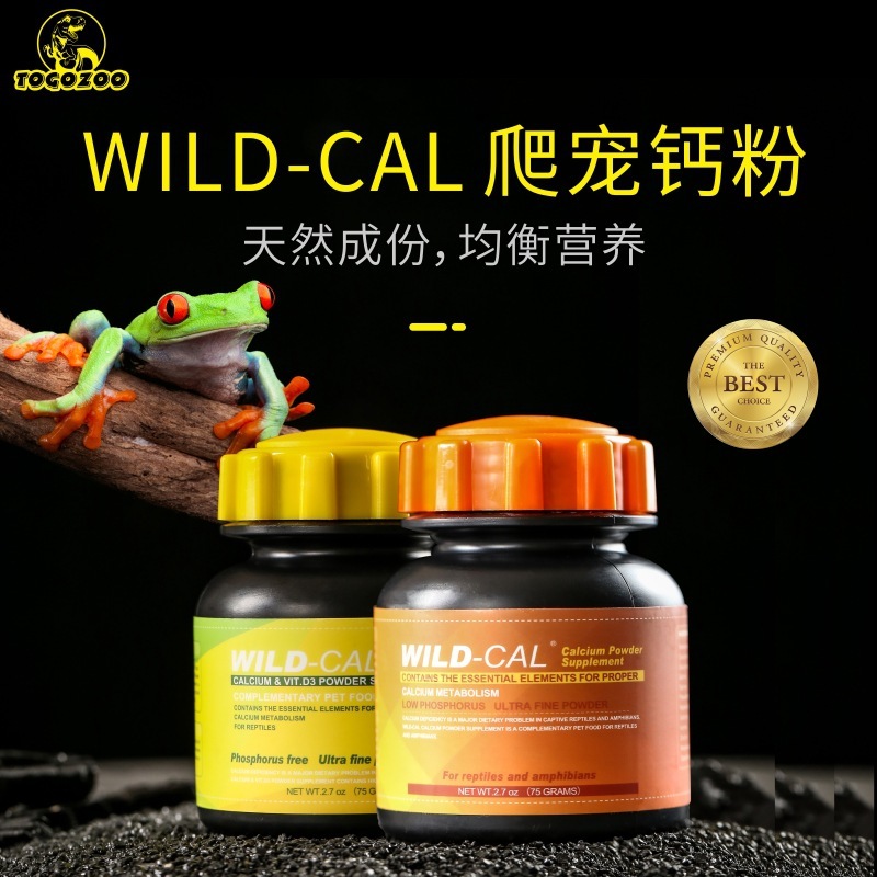 Reptiles in the CiTy, Online Shop | Shopee Malaysia