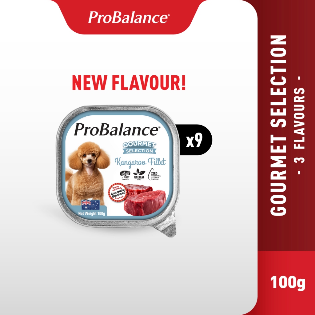 [NEW FLAVOUR] [Carton] ProBalance Gourmet Selection 900g Wet Dog Food ...