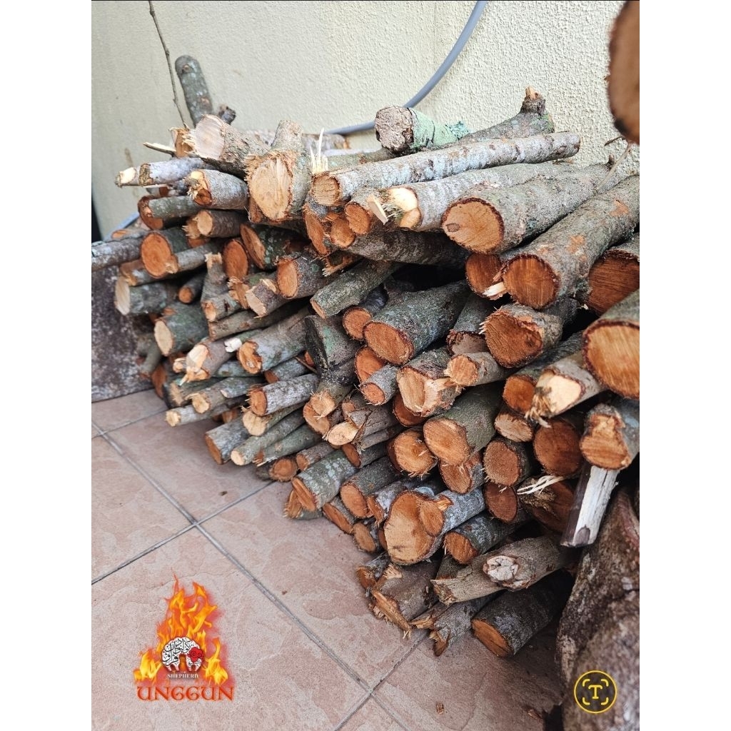 Kayu Api Camping & BBQ (Dahan Kecil 9