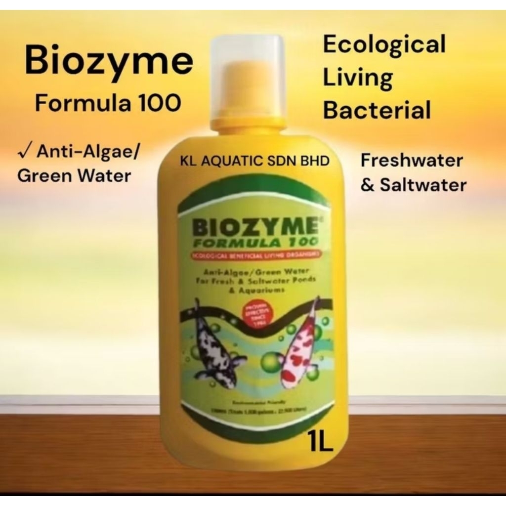 1L Biozyme Formula 100- Ecological Living Bacteria (Anti-Algae/Green ...