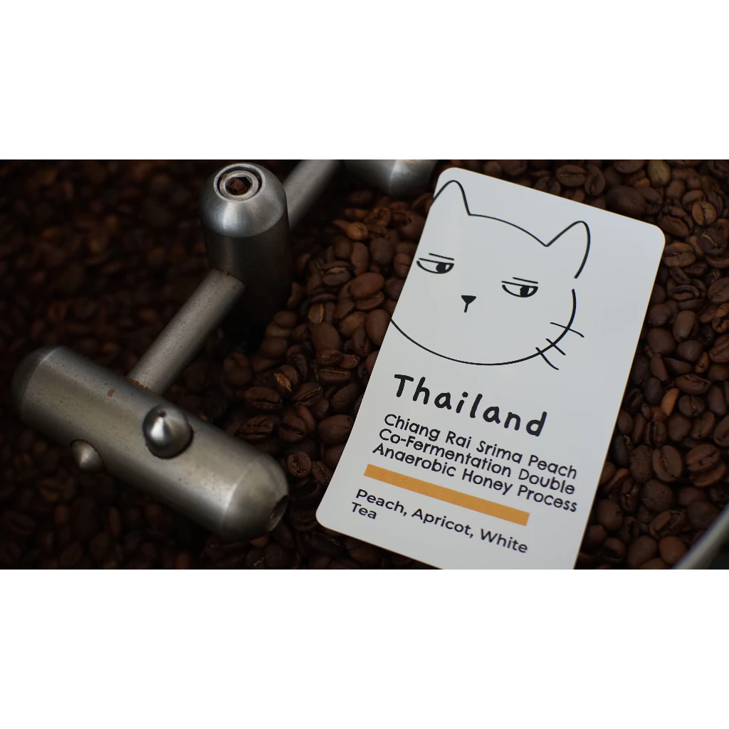 Overdose Kitten Thailand Chiang Rai Srima Peach – specialty coffee beans Malaysia