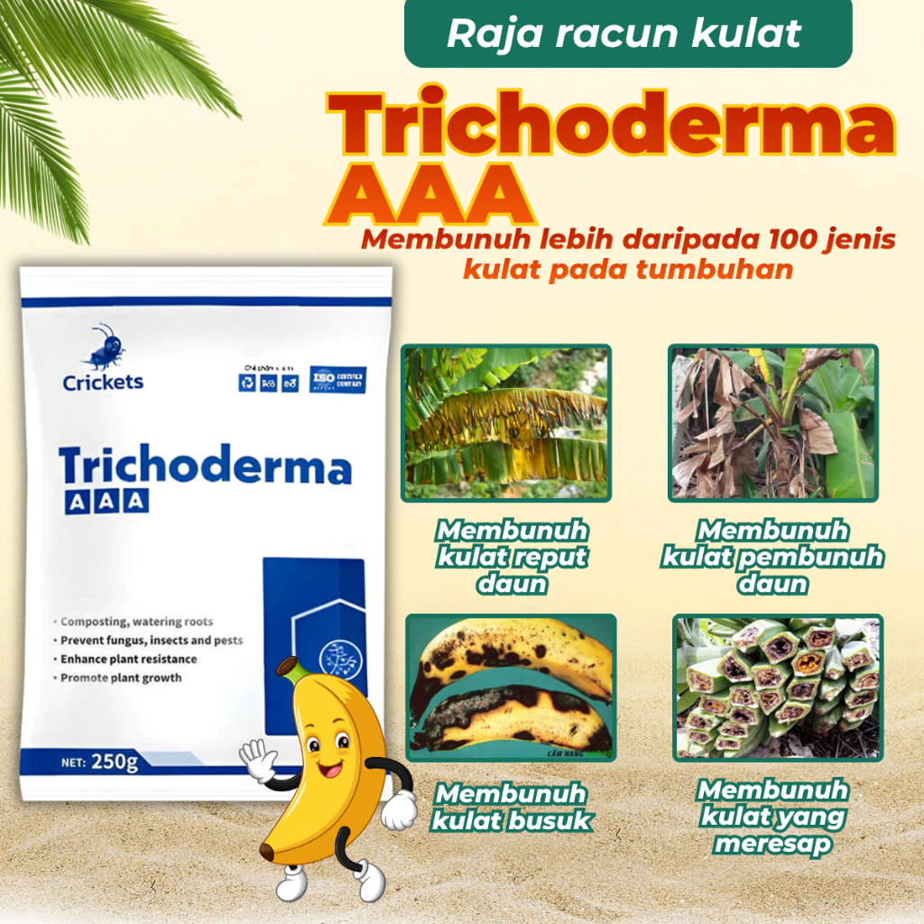 Trichoderma AAA – Antagonis Mikrob untuk Pencegahan Penyakit Akar ...