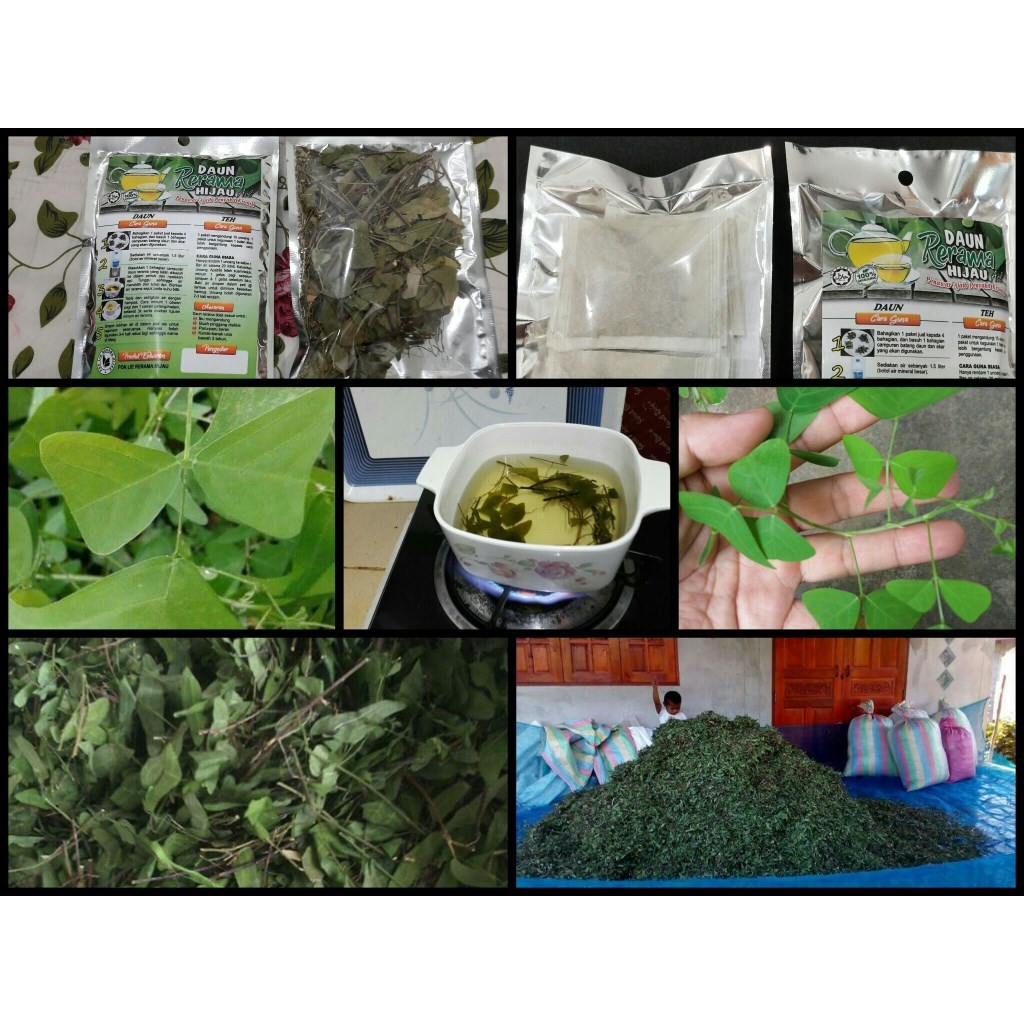 Daun Rerama Kering untuk Rebusan #Anti 3 serangkai #Kan.ser | Shopee ...