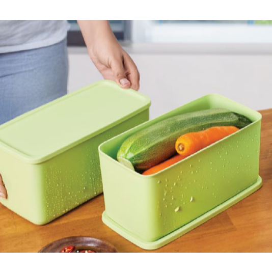 *1pc/2pcs*Tupperware Cubix Rectangular' 3.1L Freshness Celery green /1 ...