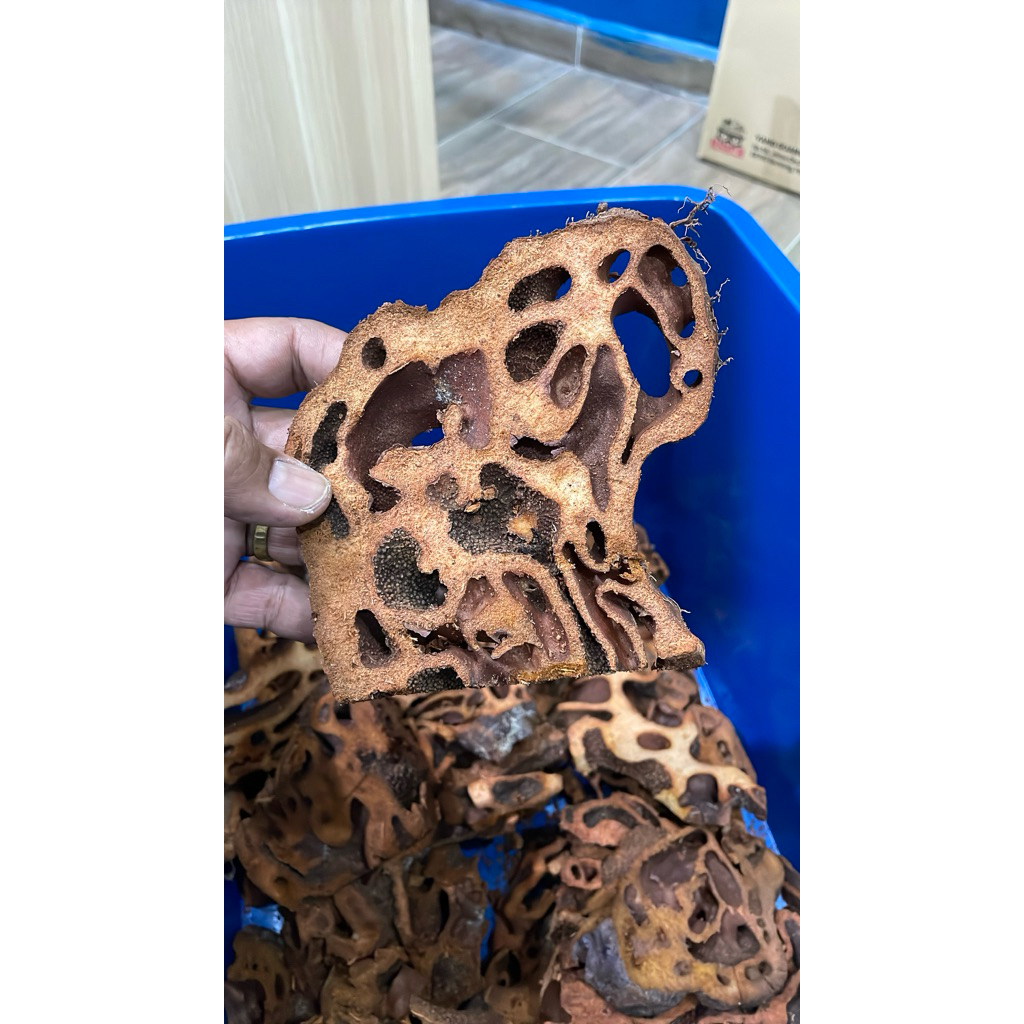 Raja satong original 1/2 kg | Shopee Malaysia