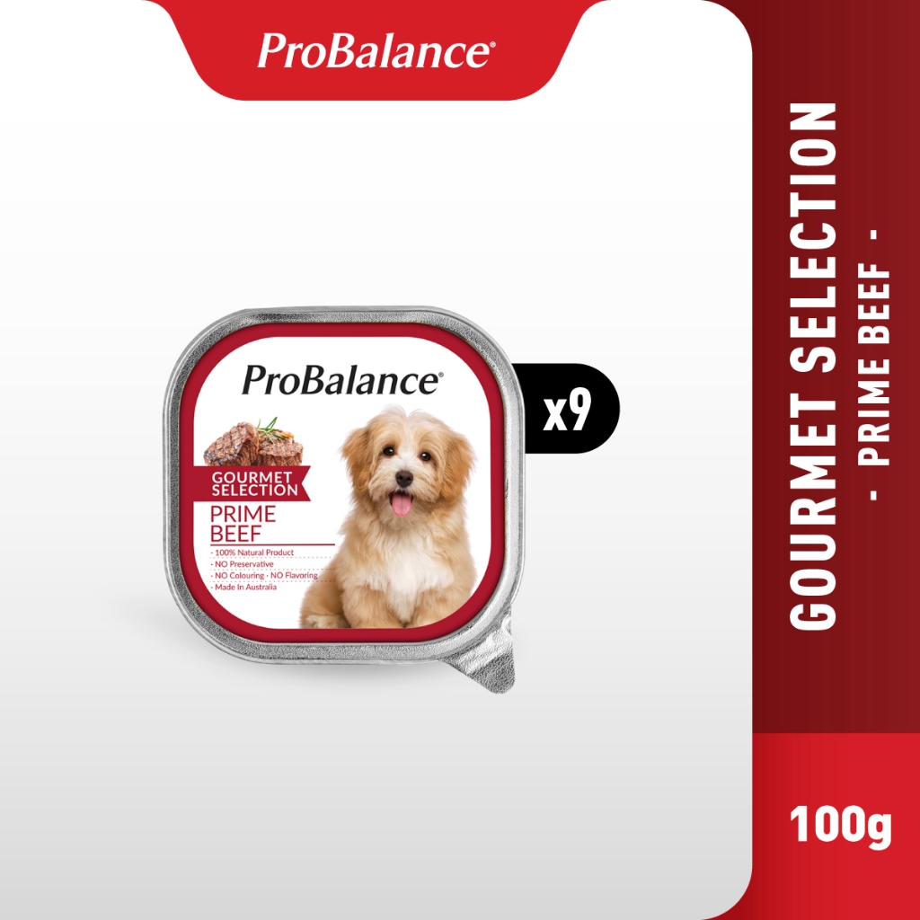[Carton] ProBalance Gourmet Selection 900g Wet Dog Food - Prime Beef ...